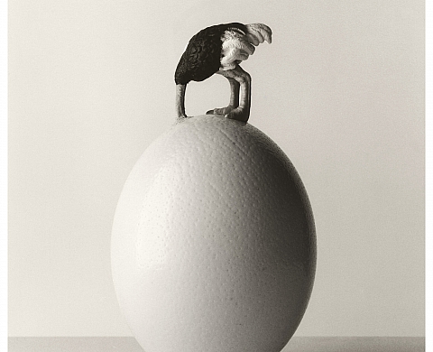 La Galerie Esther Woerdehoff propose une selection d'œuvres récentes de Chema Madoz La Galerie Esther Woerdehoff propose une selection d'œuvres récentes de Chema Madoz