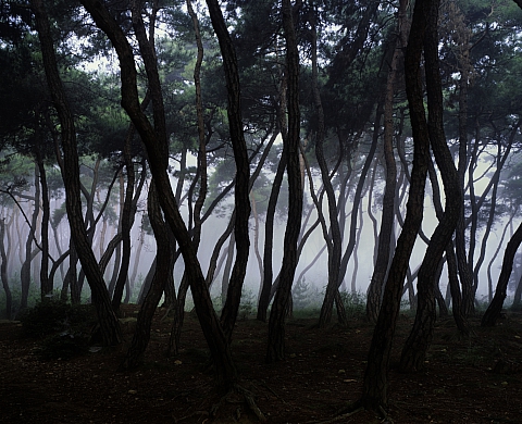 Le Domaine de Chaumont-sur-Loire invite des photographes à investir les appartements princiers du château