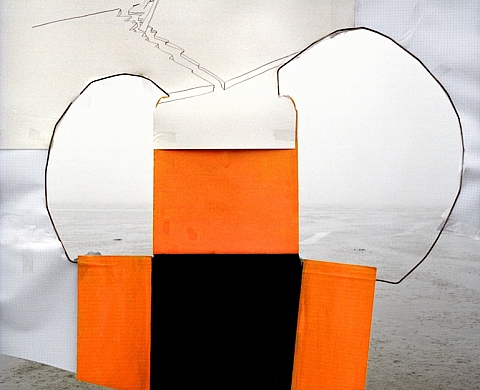 En partenariat avec La galerie particulière, le musée des Beaux-Arts d'Angers présente Laurent Millet 