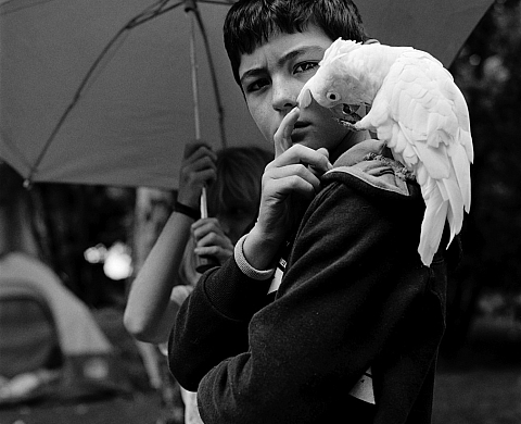 Art Rotterdam organise sa 15ème édition du salon international de l'art contemporain