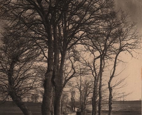 Vente aux enchères de photographies provenant du fonds Felix Thiollier 