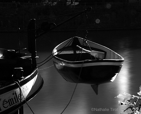 « Zenitude sur les Bords de Marne », une exposition de Natalie Tirot au Conservatoire de danse et de musique du Perreux. « Zenitude sur les Bords de Marne », une exposition de Natalie Tirot au Conservatoire de danse et de musique du Perreux.