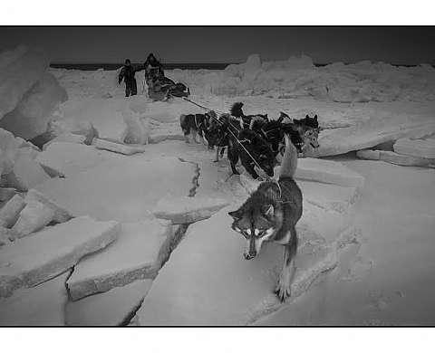 Le corner Leica des Galeries Lafayette présente « Artic » une exposition de Axelsson Ragnar Le corner Leica des Galeries Lafayette présente « Artic » une exposition de Axelsson Ragnar