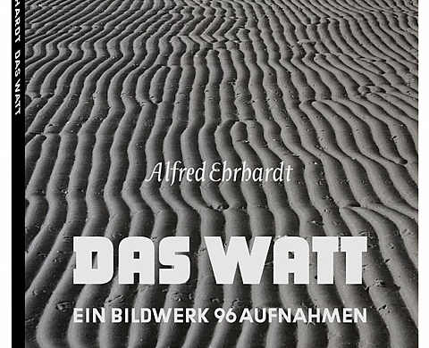 « Das Watt » d’Alfred Ehrhardt aux éditions Xavier Barral : la cosmologie au prisme de la photographie du Bauhaus « Das Watt » d’Alfred Ehrhardt aux éditions Xavier Barral : la cosmologie au prisme de la photographie du Bauhaus