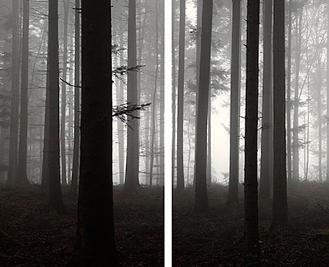 La galerie Odile Ouizeman présente « Là où Naissent les Fantasmes »