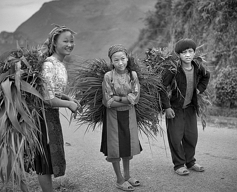 Entretien avec le photographe français Sébastien Laval, à l'occasion du hors-série d'Actuphoto sur le Vietnam Entretien avec le photographe français Sébastien Laval, à l'occasion du hors-série d'Actuphoto sur le Vietnam