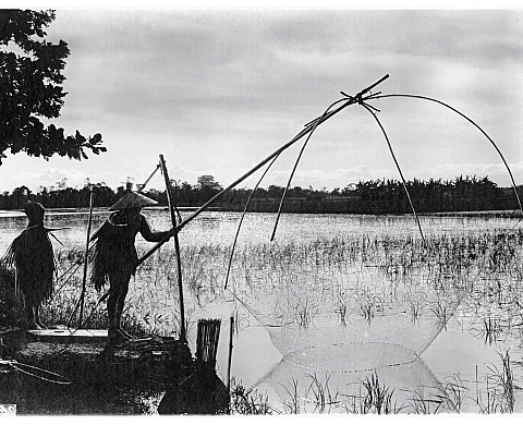 Exposition « Objectif Vietnam: Photographies de l'Ecole française d'Extrême-Orient » au Musée Cernuschi Exposition « Objectif Vietnam: Photographies de l'Ecole française d'Extrême-Orient » au Musée Cernuschi