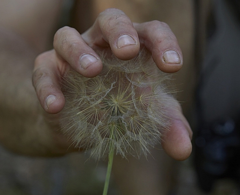Manuela Marques présente « La taille de ce vent est un triangle dans l'eau » 