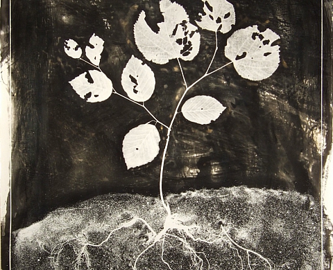 Richard Caillot « Fragments de Mémoire » #2 et 3 au Centre Iris à Paris