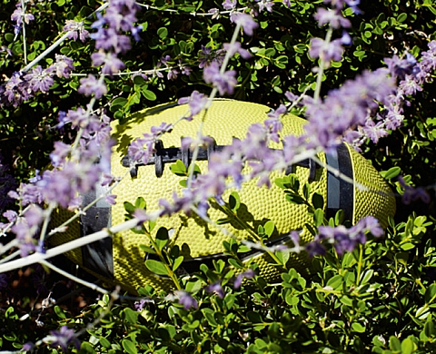 Roe Ethridge: Sacrifice Your Body 