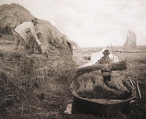 The Honest Landscape: Photographs by Peter Henry Emerson