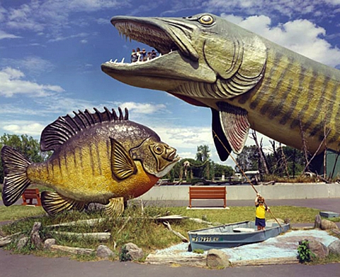 Thirty-Five Years / 35 Pictures