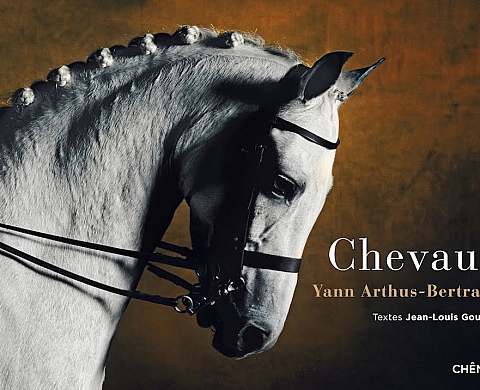 Les éditions du Chêne et Yann Arthus Bertrand proposent une nouvelle réédition de « Chevaux », l'un des ouvrages les plus célèbres du photographe Les éditions du Chêne et Yann Arthus Bertrand proposent une nouvelle réédition de « Chevaux », l'un des ouvrages les plus célèbres du photographe