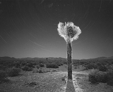 Bob Kolbrener: In Real Time, Celebrating Fifty Years in Photography 