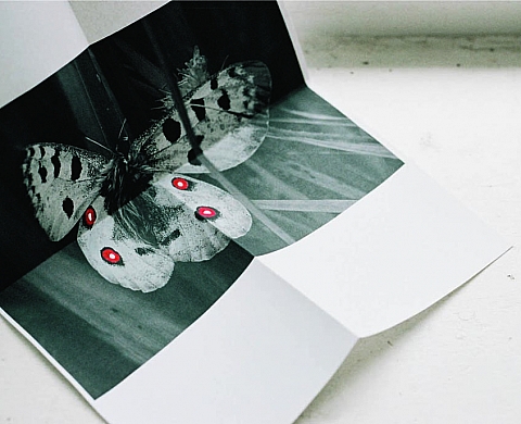 « Vermillon » d'Anne-Lise Broyer aux Comptoirs Arlésiens de la jeune photographie