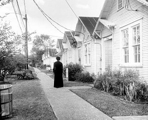 Carrie Mae Weems The Museum Series