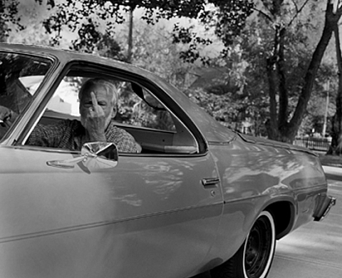 Papabear Elizabeth Nahum-Albright