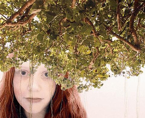 PRATICIA CASEY Little Secrets