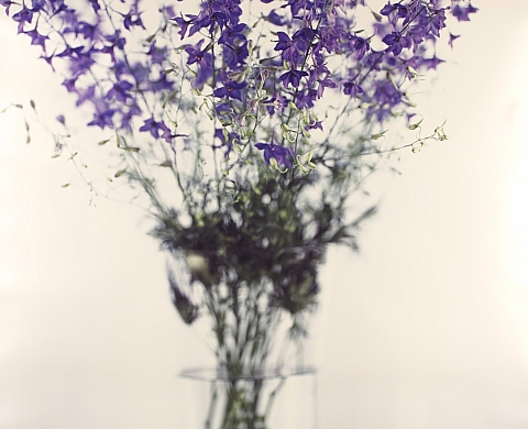 Chrome - Camera - Heino Heimann