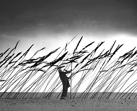Lorsque Le Vent Viendra - Gilbert Garcin