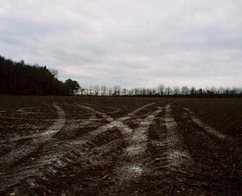 Les sentiers détournés - Régis Feugère