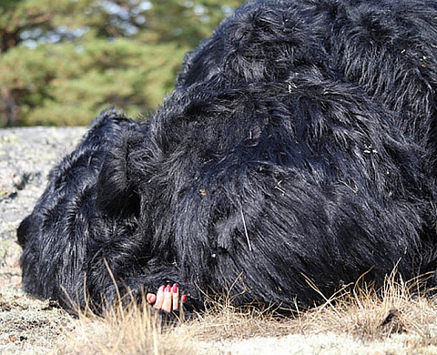 The Hunters Group: Heini Aho, Sirkku Ketola ja Tamara Piilola, Heart Side Up