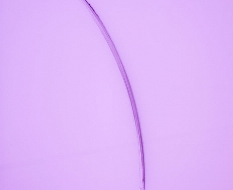 EXPOSICIÓN 1 + 1 = 12