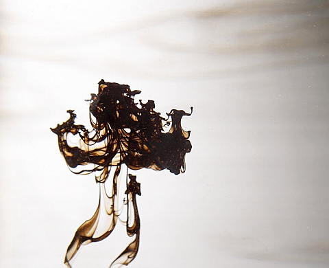 « Immergences » par Alain Smilo 