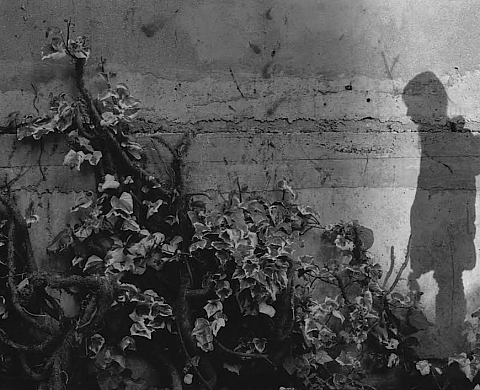 Tout en Noir & Blanc, 13ème édition La Photographie à l’école à la Maison de la photographie Robert Doisneau