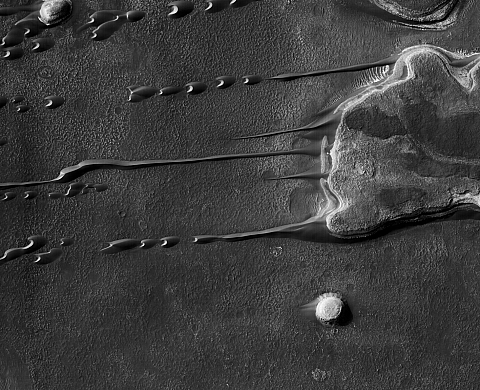 The 2nd edition of « Kyotographie » International Photography Festival