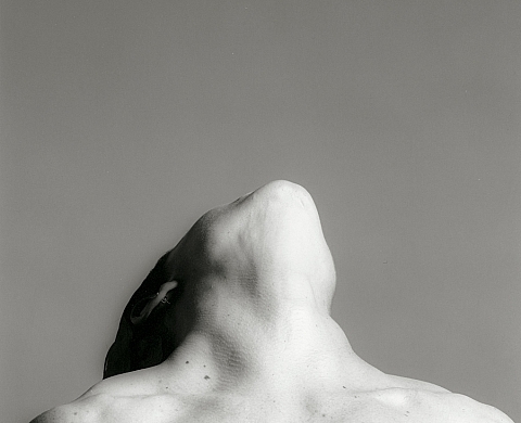 Robert Mapplethorpe : une rétrospective au Grand Palais Robert Mapplethorpe : une rétrospective au Grand Palais