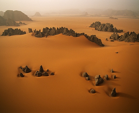 « TERRE », une exposition à ciel ouvert près du Mans