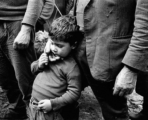 Georges Dussaud à la Galerie Net Plus