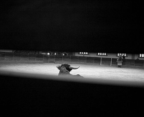 La Galerie Anne Clergue présente « Silencios » par Joséphine Douet