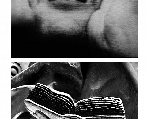 Le lac gelé, lieu de phénomènes photographiques présente Sui Generis