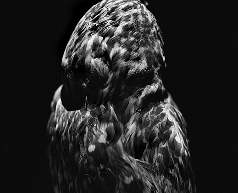 « Le nom qui efface la couleur » par Israel Ariño au Moulin de la Filature (Le Blanc)