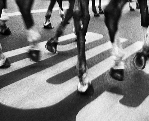 Johann Soussi présente ses photographies à La Galerie Basia Embiricos