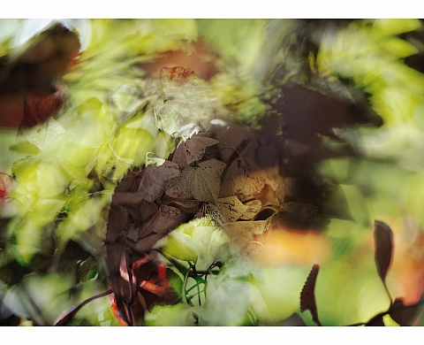 « Les vents l'emporteront » à la galerie Simone & les Mauhargats 