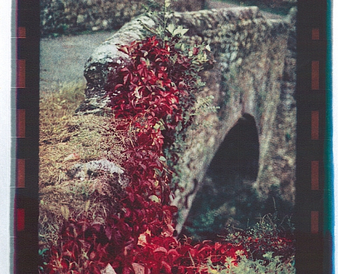 La Fabrique du pont d’Aleyrac présente l'exposition collective « Récolte d'automne »