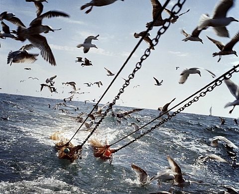 Caroline Pottier : « SOS Save our Souls » à la Galerie du Bar Floréal