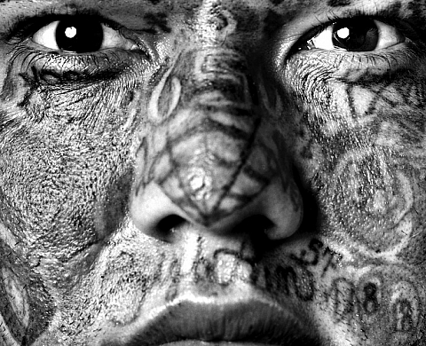 « Tatoueurs, tatoués » : l'univers du tatouage au Musée du quai Branly