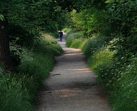 «Paris nature au bois de Vincennes», balade photographique proposée par Jean-François Valantin «Paris nature au bois de Vincennes», balade photographique proposée par Jean-François Valantin