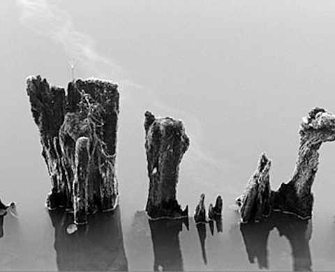 «Réflectance», photographies de Jean-François URBAIN «Réflectance», photographies de Jean-François URBAIN