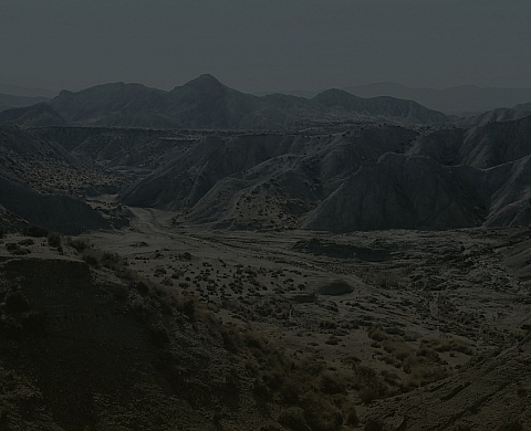 Sylvain Couzinet-Jacques présente « The Park » à la Galerie Particulière 