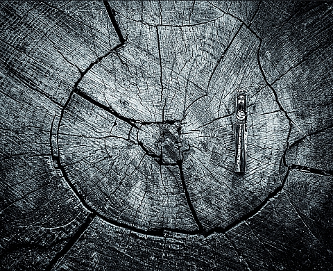 Le photographe Marcus Brandao présente « 366 portraits du jour » à la FIAP