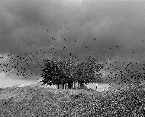 « A la croisée des chemins », photographies de Mark Steinmetz à la box galerie, Bruxelles « A la croisée des chemins », photographies de Mark Steinmetz à la box galerie, Bruxelles