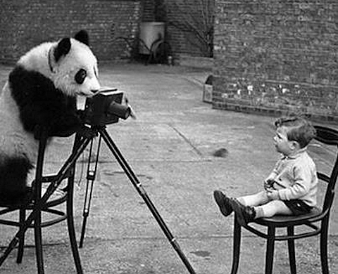 Photographe, un métier qui a la côte auprès des Français 
