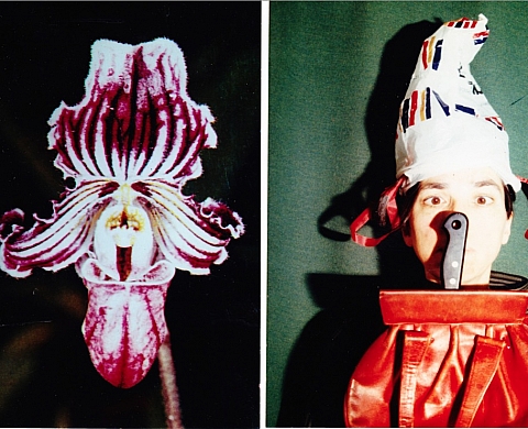 « Il était une fois... » : une exposition collective à la Galerie Vincenz Sala