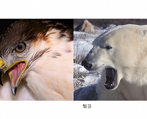 Ze Art Galerie Paris présente « Couleurs » de Philippe Decressac