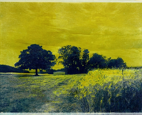 Sophie Zénon présente « Fugace » aux Comptoirs arlésiens de la jeune photographie